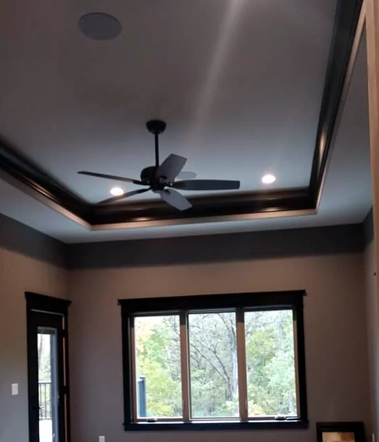 Bedroom with painted tray ceiling and dark window trim